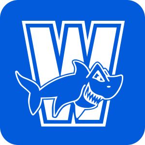 Find the right logo for summer swim team suits.